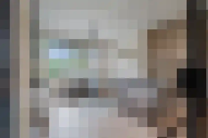 De Horst 15 Hasselt thumbnail 12