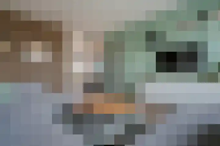 De Horst 15 Hasselt thumbnail 15