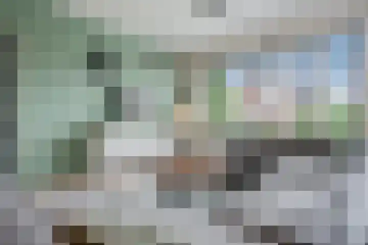 De Horst 15 Hasselt thumbnail 16