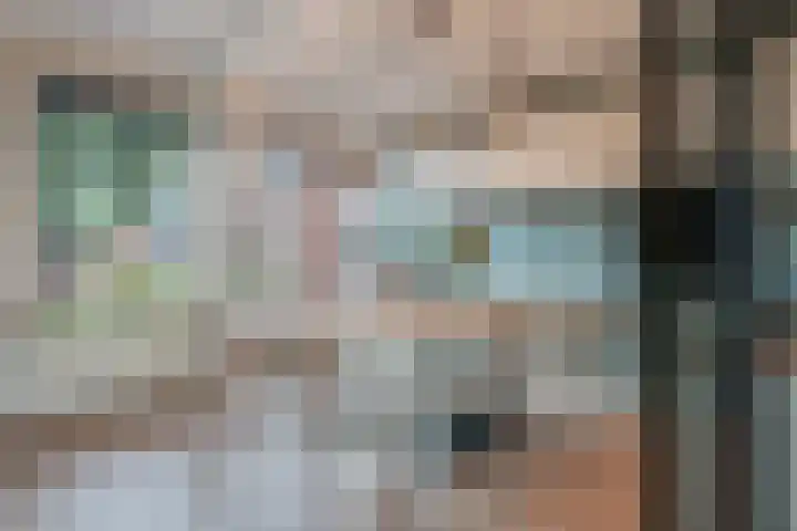 De Horst 15 Hasselt thumbnail 17