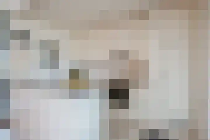 De Horst 15 Hasselt thumbnail 22