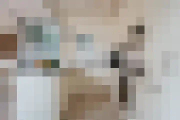 De Horst 15 Hasselt thumbnail 23