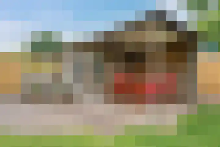 De Horst 15 Hasselt thumbnail 30