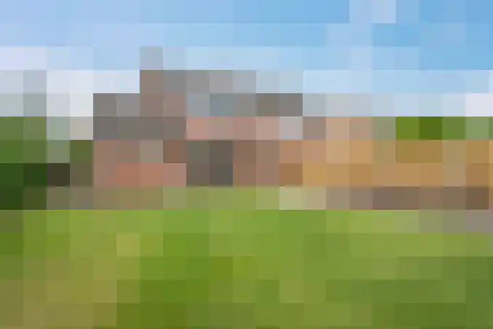 De Horst 15 Hasselt thumbnail 31