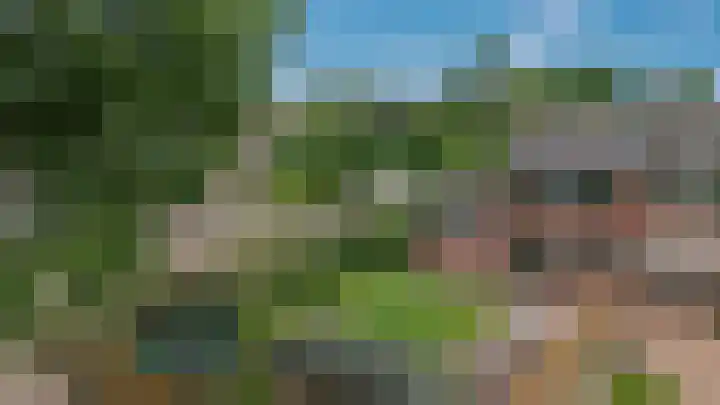 De Horst 15 Hasselt thumbnail 33