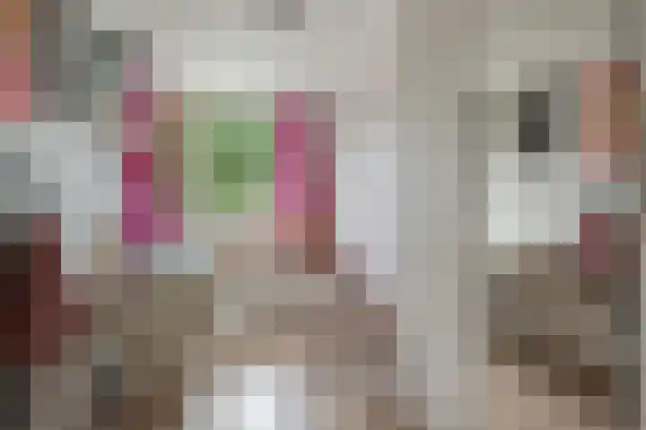 De Horst 15 Hasselt thumbnail 34