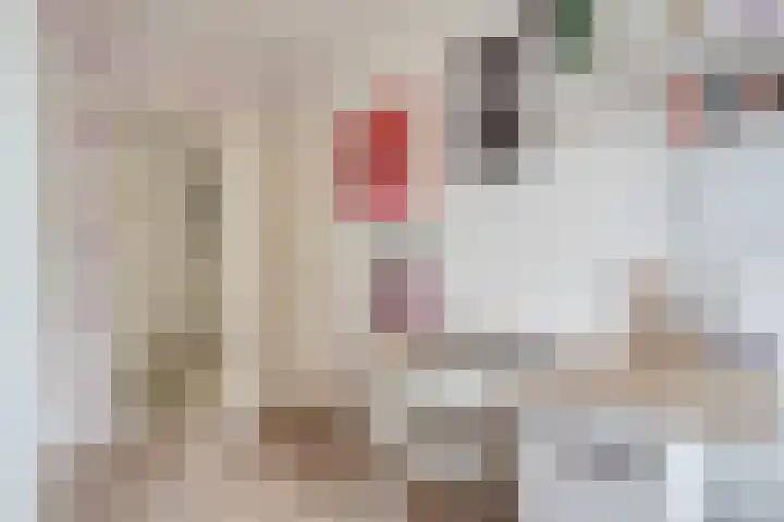 De Horst 15 Hasselt thumbnail 36