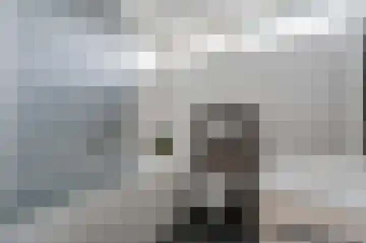 De Horst 15 Hasselt thumbnail 38