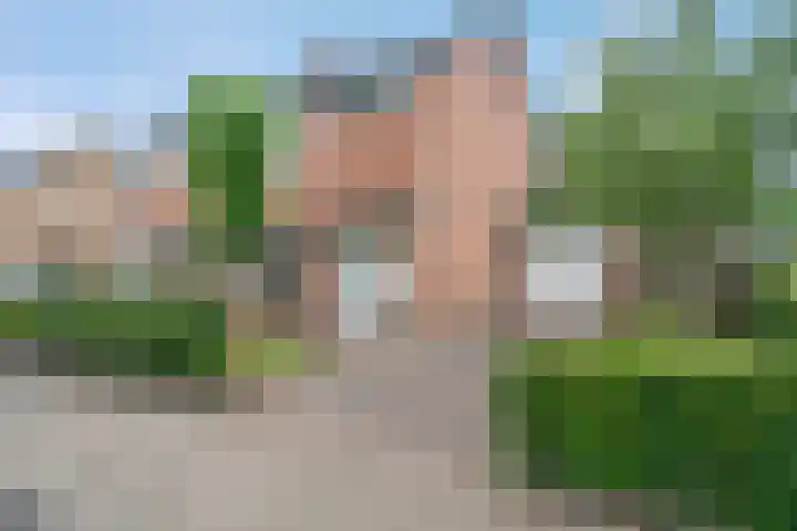 De Horst 15 Hasselt thumbnail 4