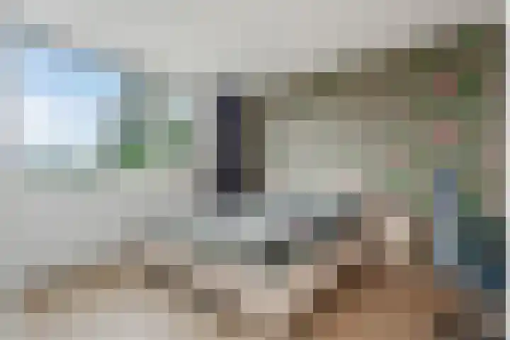 De Horst 15 Hasselt thumbnail 42
