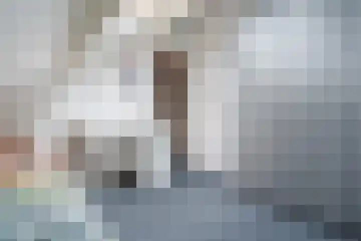 De Horst 15 Hasselt thumbnail 49