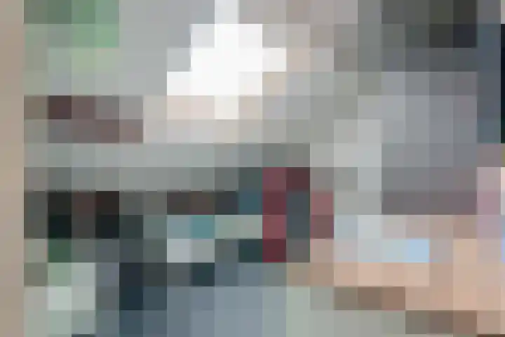 De Horst 15 Hasselt thumbnail 50