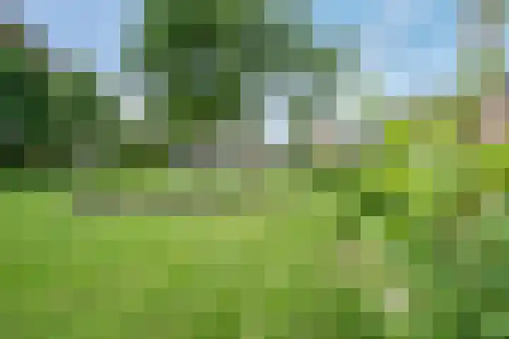 De Horst 15 Hasselt thumbnail 54