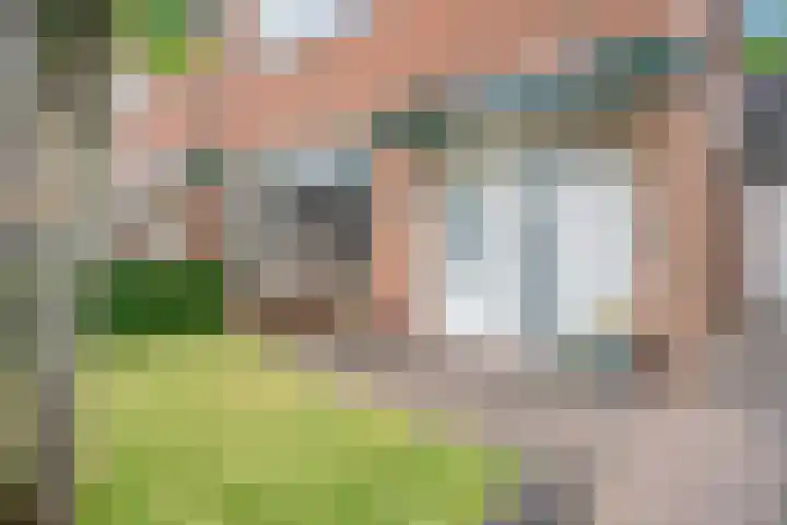 De Horst 15 Hasselt thumbnail 6