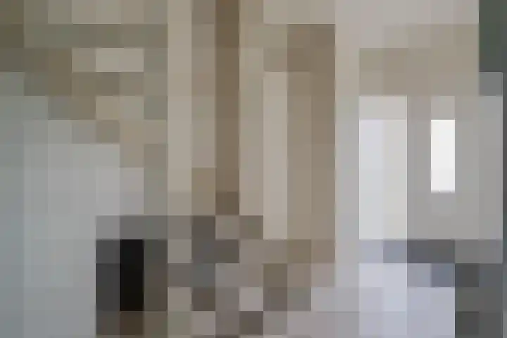 De Horst 15 Hasselt thumbnail 7