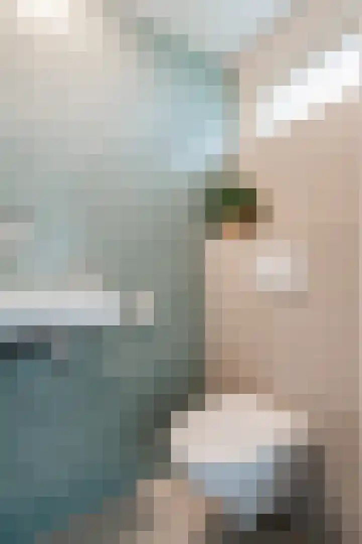 De Horst 15 Hasselt thumbnail 8