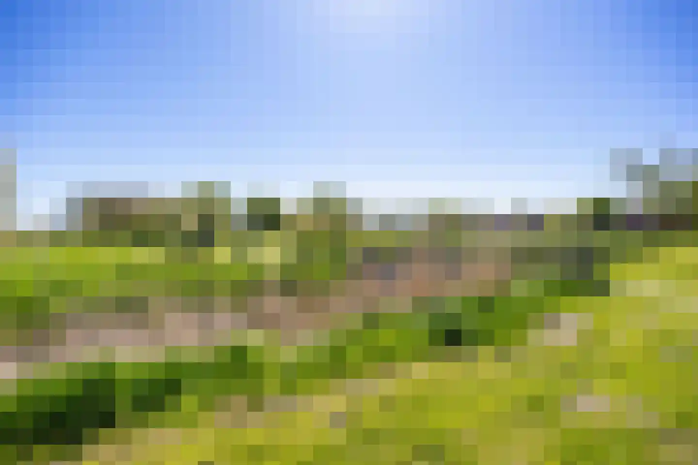 De Horst 16 Bedum thumbnail 10