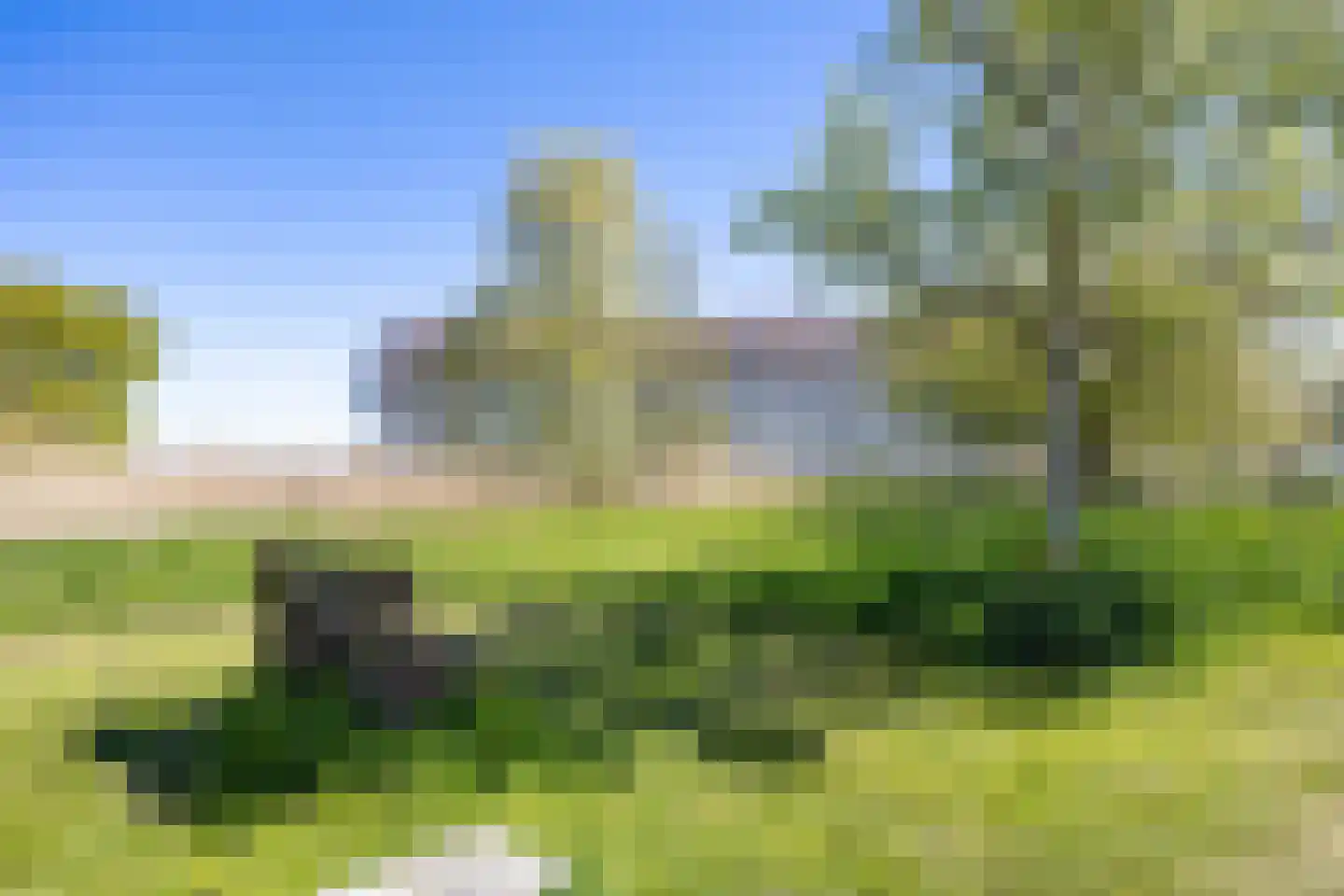 De Horst 16 Bedum thumbnail 12