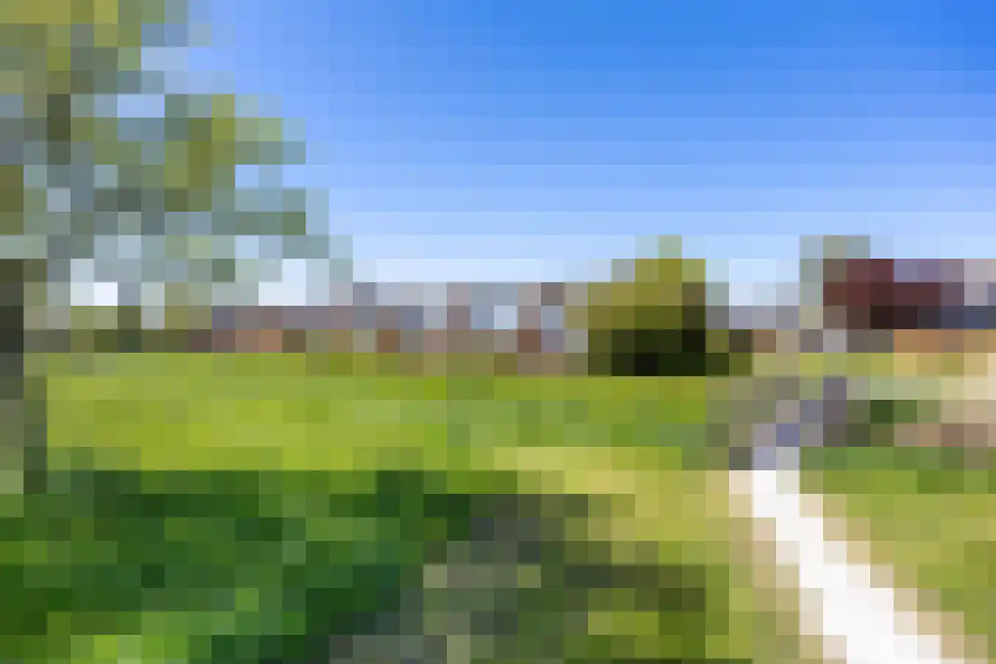 De Horst 16 Bedum thumbnail 13