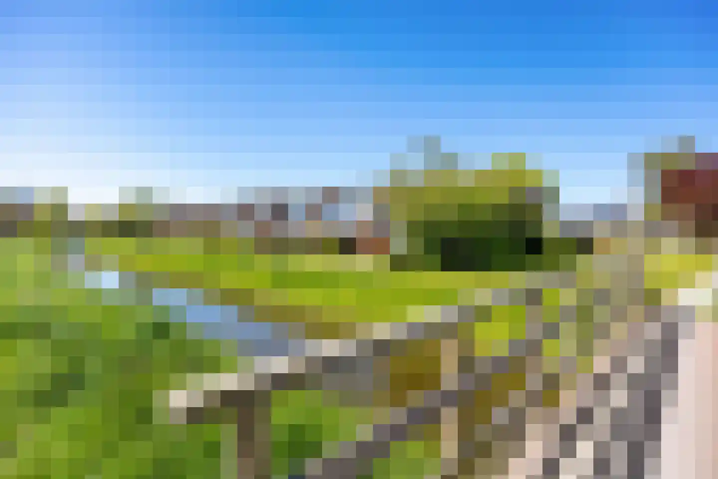 De Horst 16 Bedum thumbnail 18