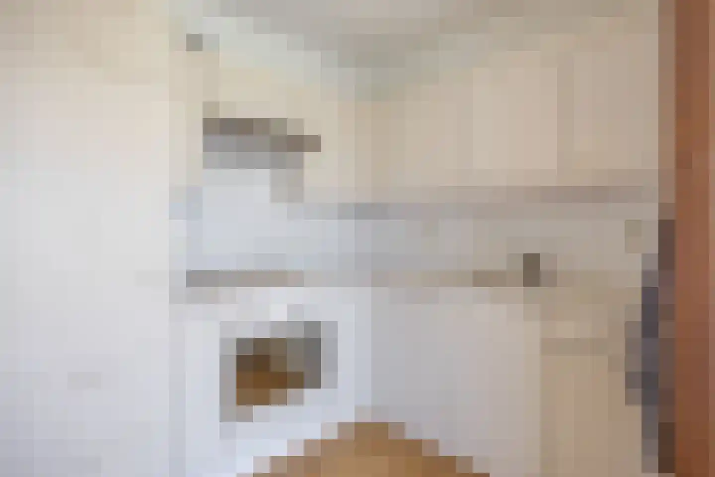 De Horst 16 Bedum thumbnail 29