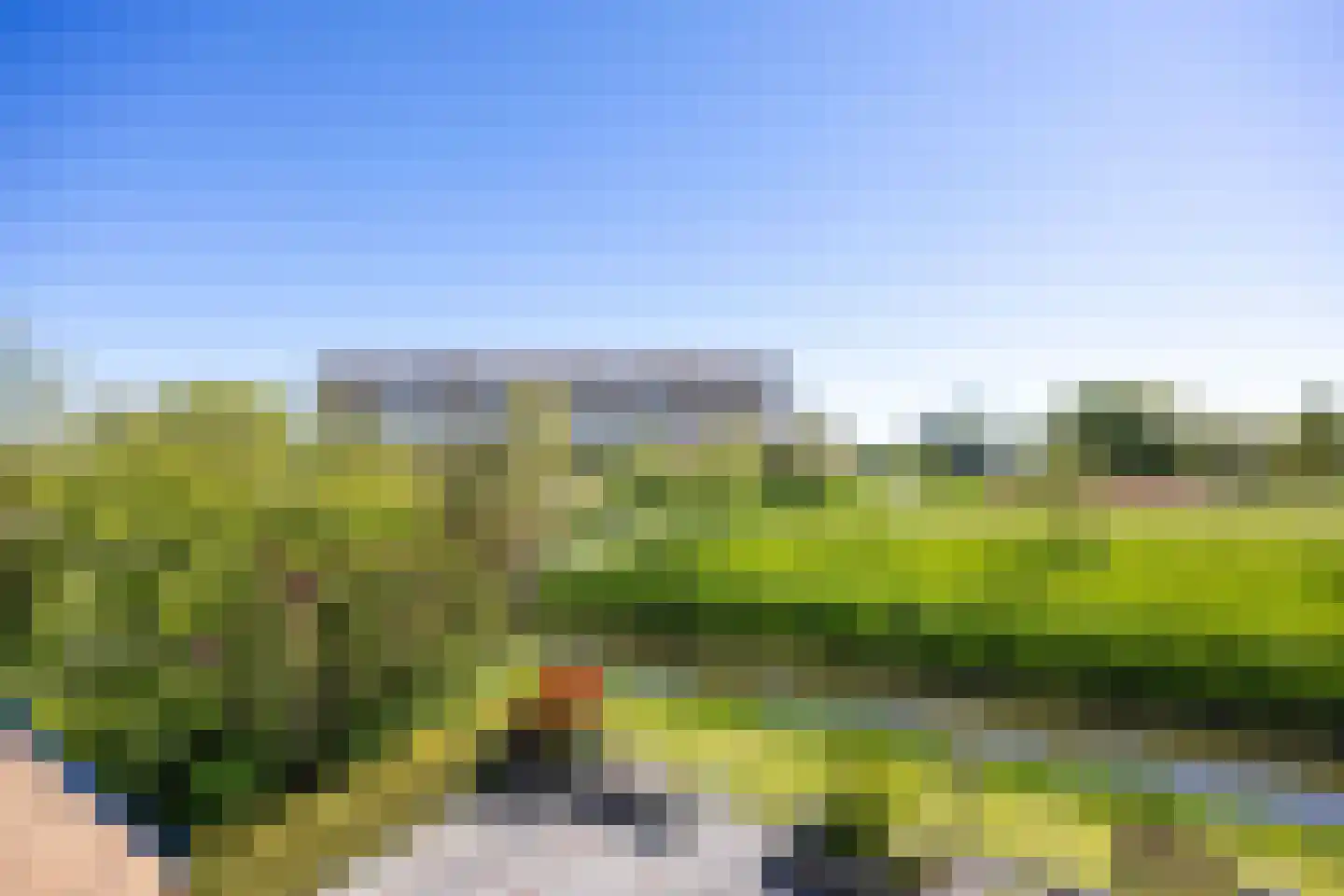De Horst 16 Bedum thumbnail 36