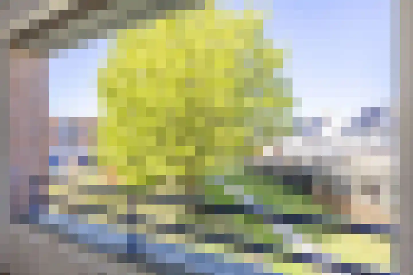 De Horst 16 Bedum thumbnail 42