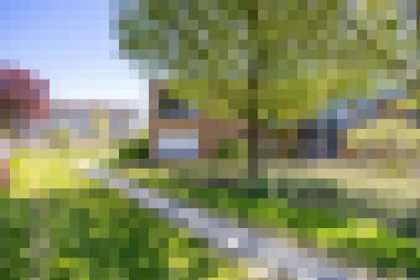 De Horst 16 Bedum thumbnail 6