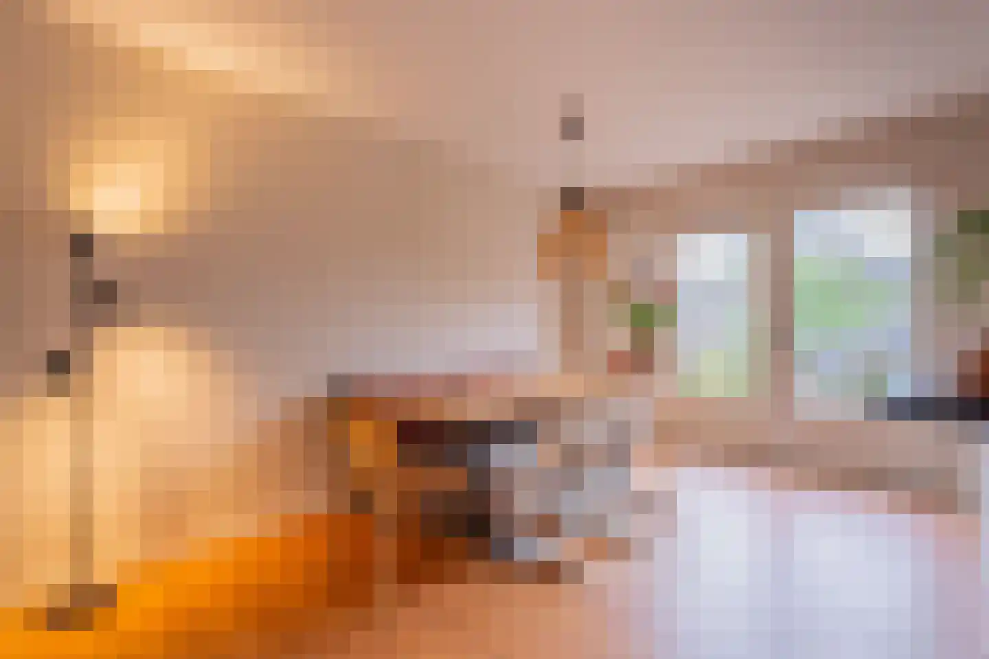 De Horst 19 Dalfsen thumbnail 10
