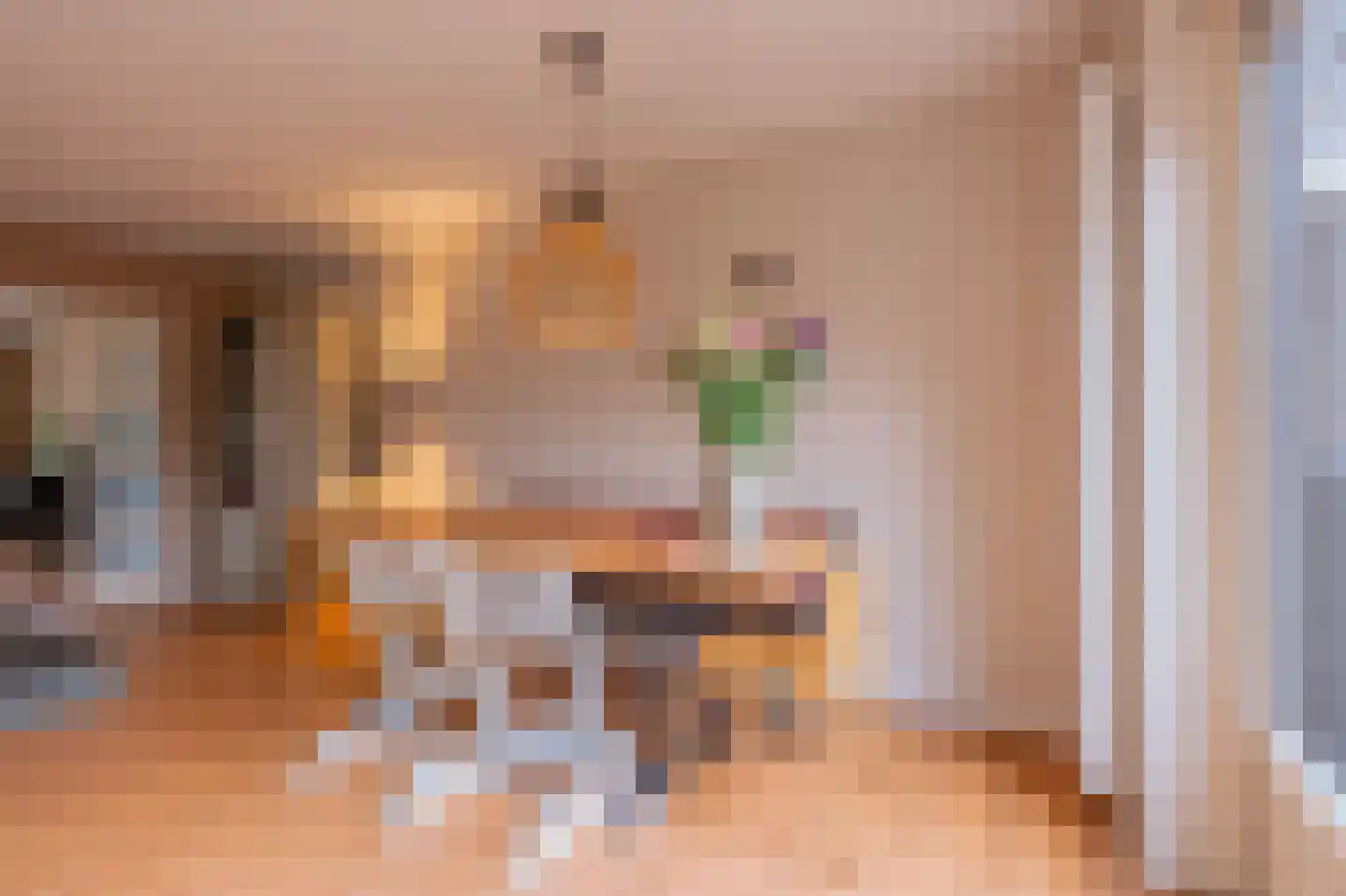 De Horst 19 Dalfsen thumbnail 11