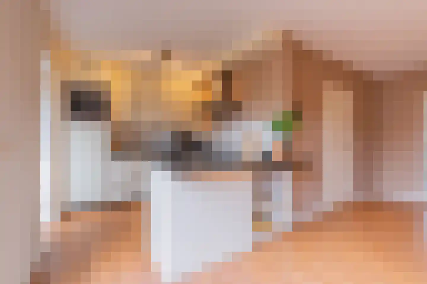 De Horst 19 Dalfsen thumbnail 13