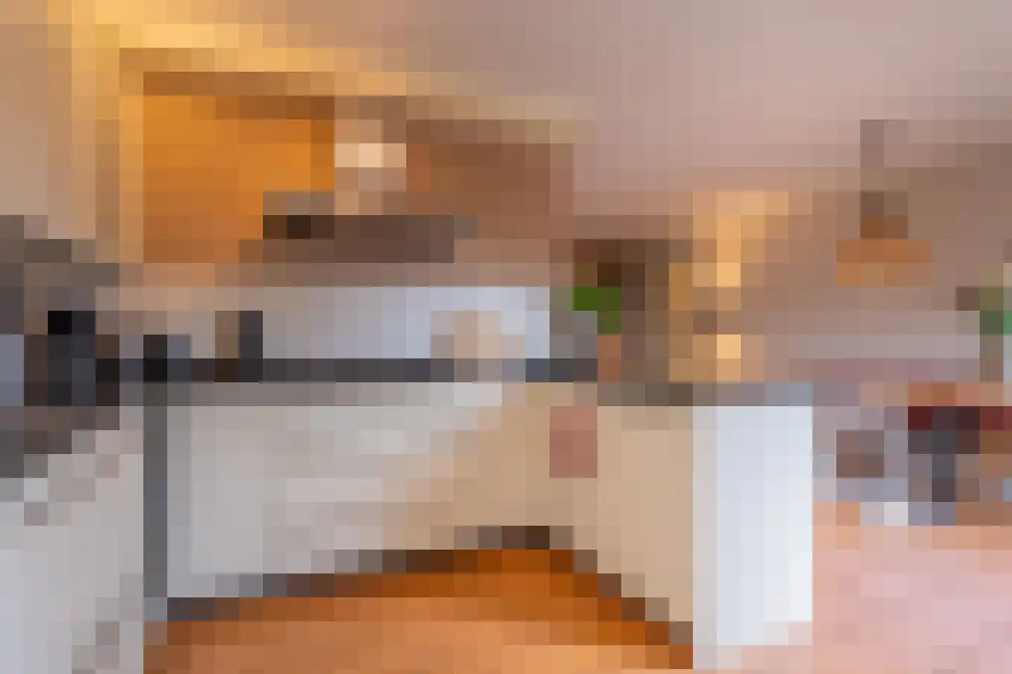 De Horst 19 Dalfsen thumbnail 15