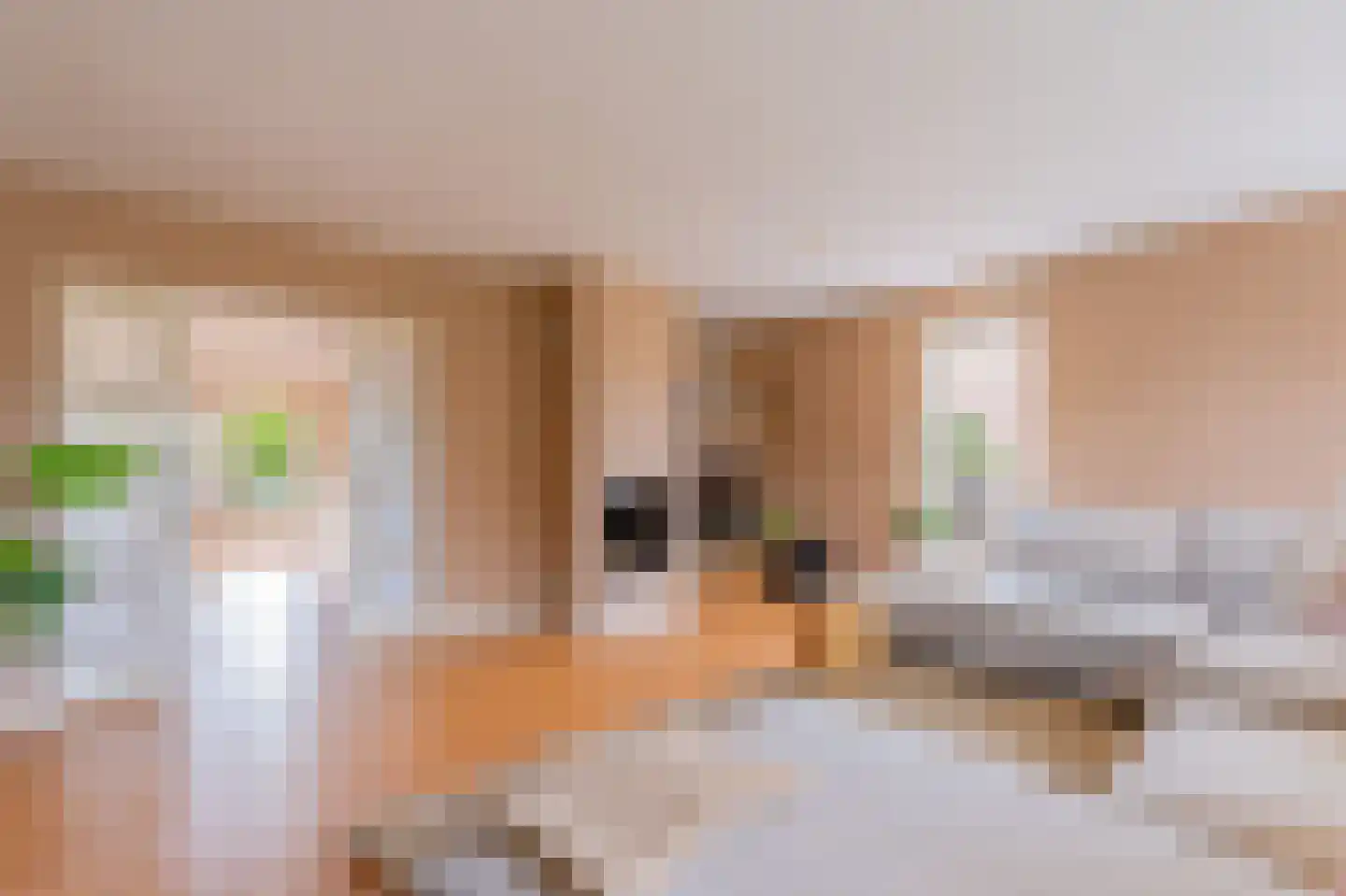 De Horst 19 Dalfsen thumbnail 19