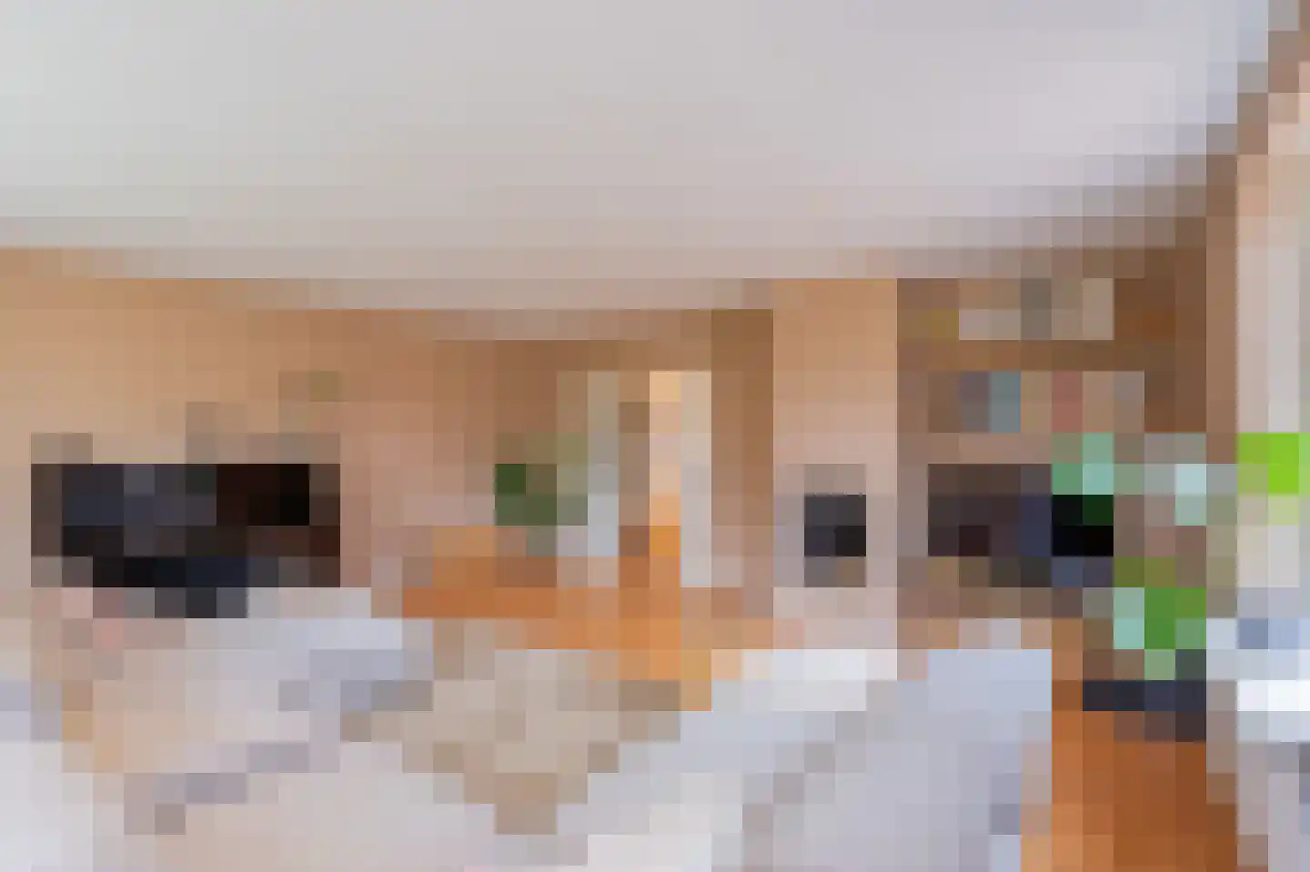 De Horst 19 Dalfsen thumbnail 20
