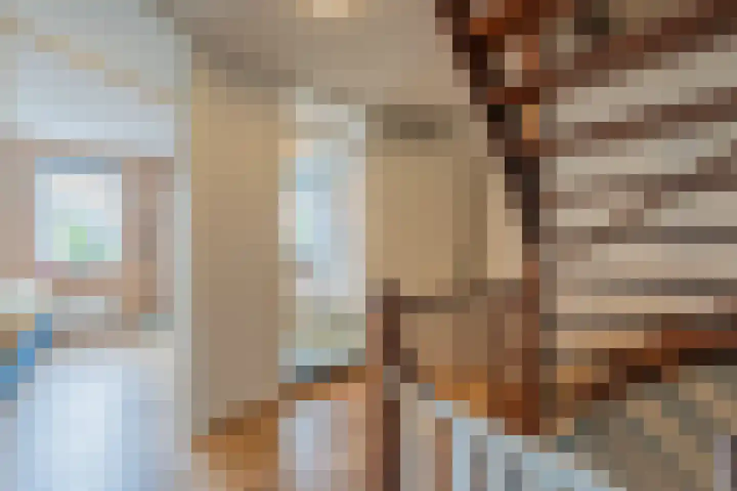 De Horst 19 Dalfsen thumbnail 25