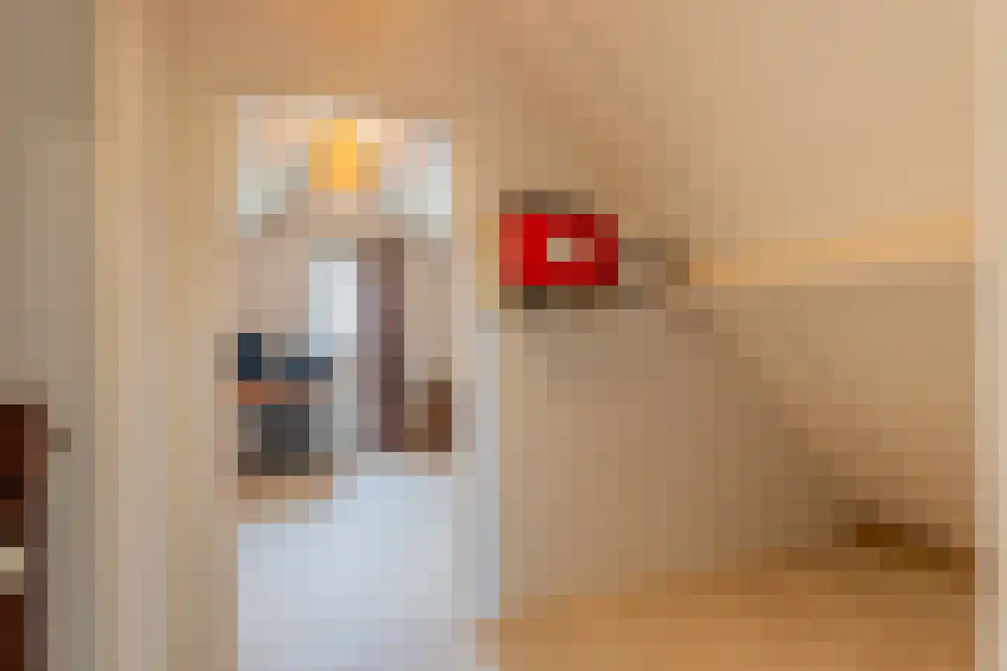 De Horst 19 Dalfsen thumbnail 38