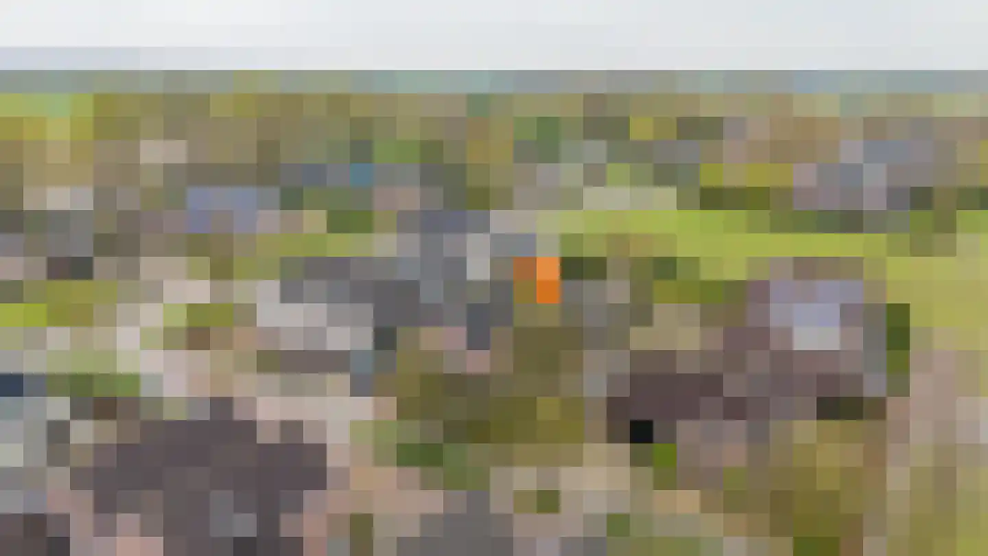 De Horst 19 Dalfsen thumbnail 4