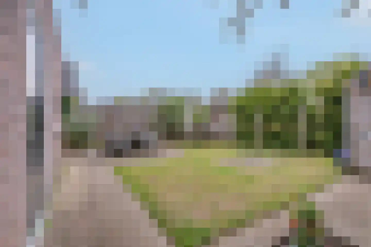 De Horst 19 Dalfsen thumbnail 44