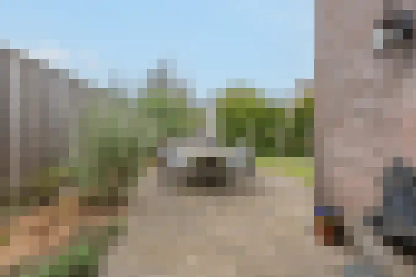 De Horst 19 Dalfsen thumbnail 51