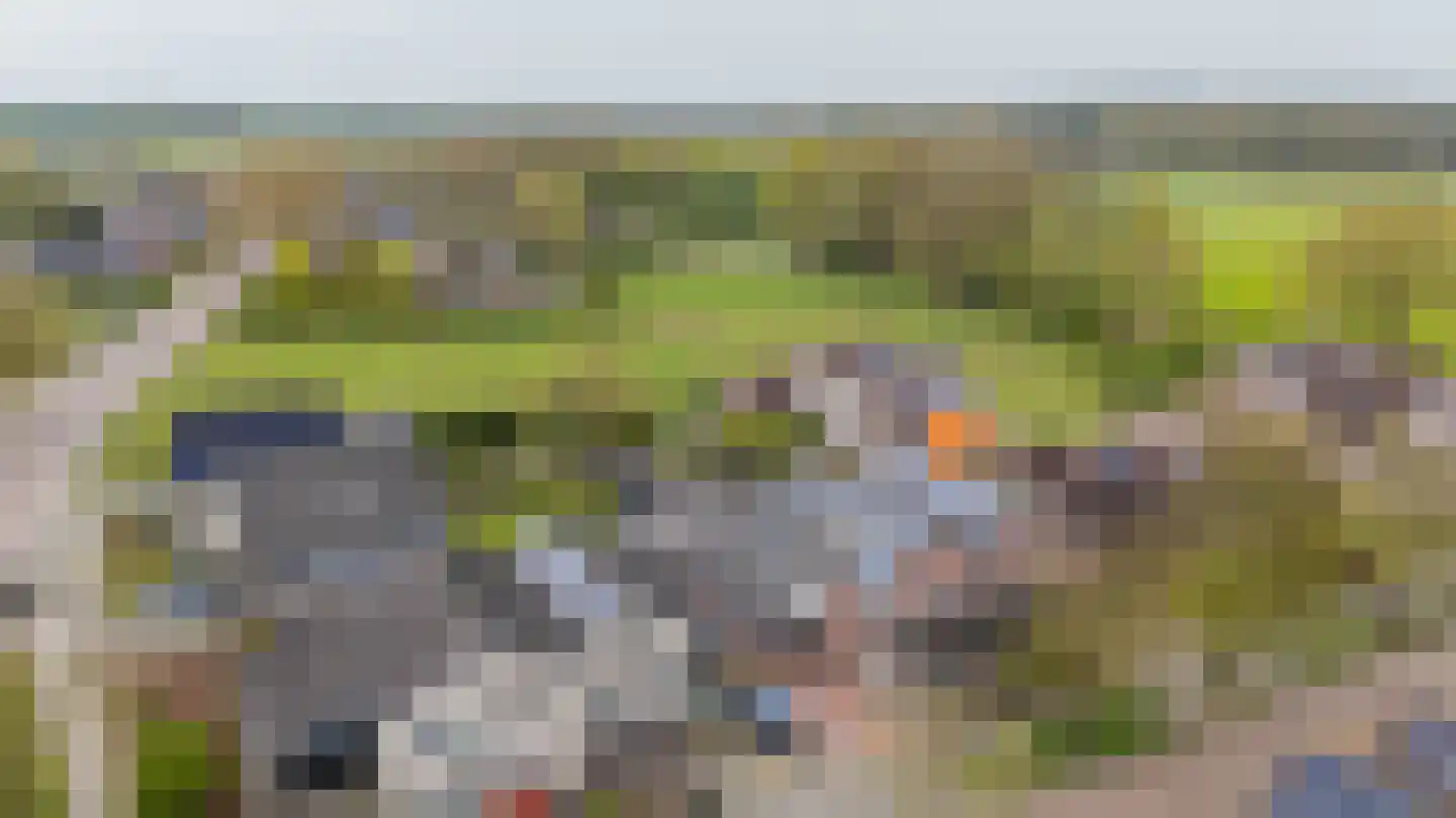 De Horst 19 Dalfsen thumbnail 55