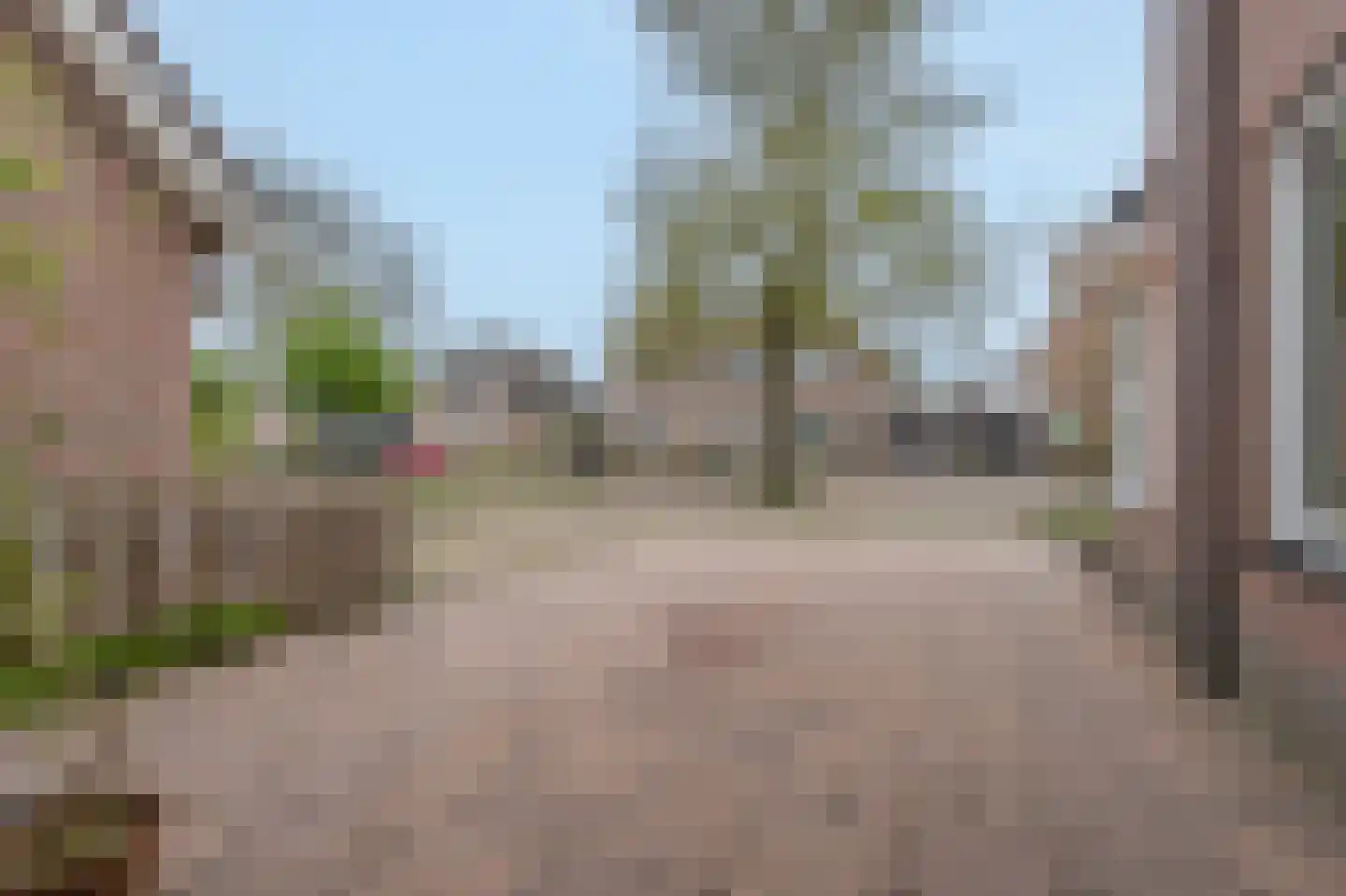 De Horst 19 Dalfsen thumbnail 56