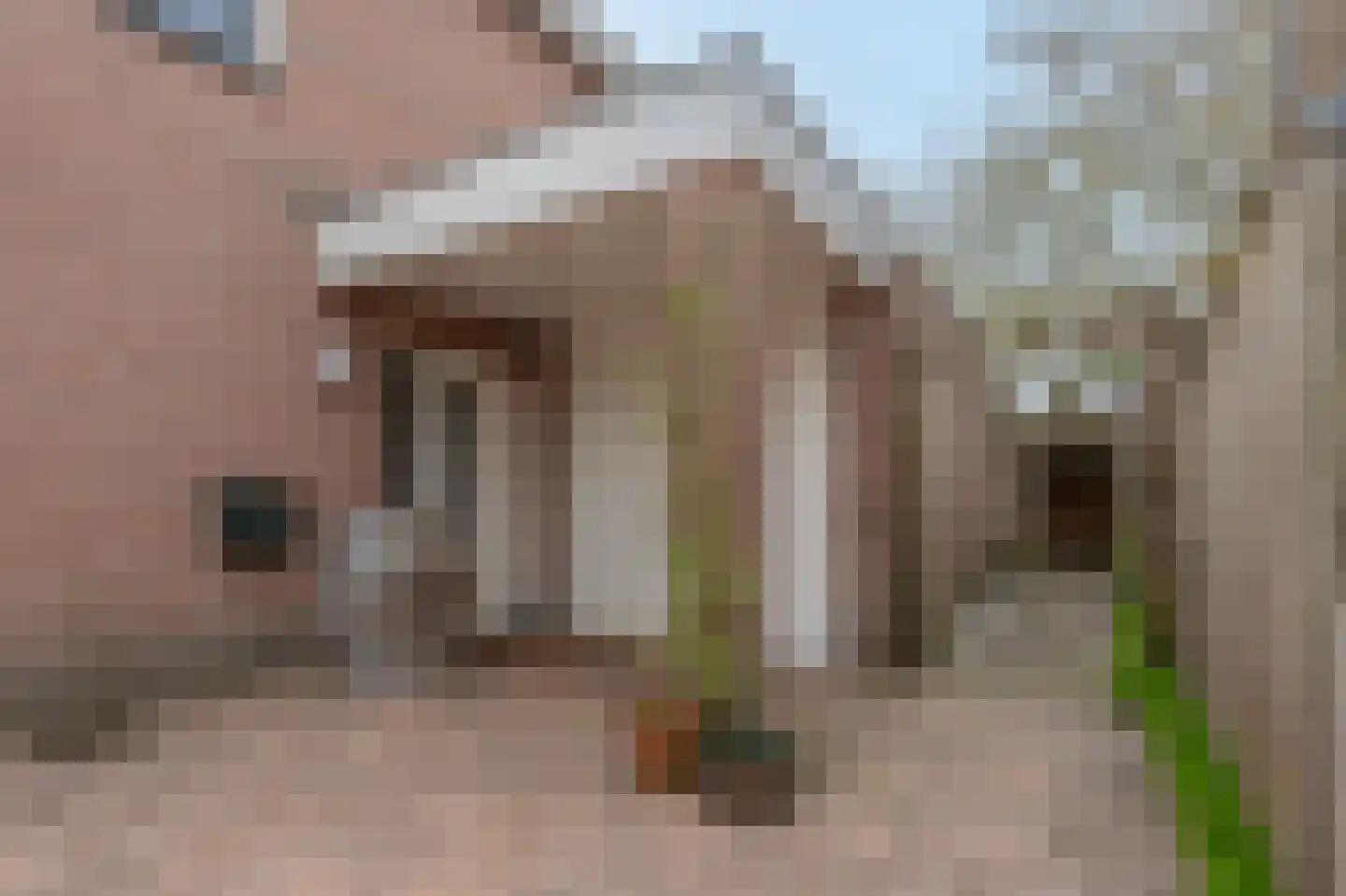 De Horst 19 Dalfsen thumbnail 6
