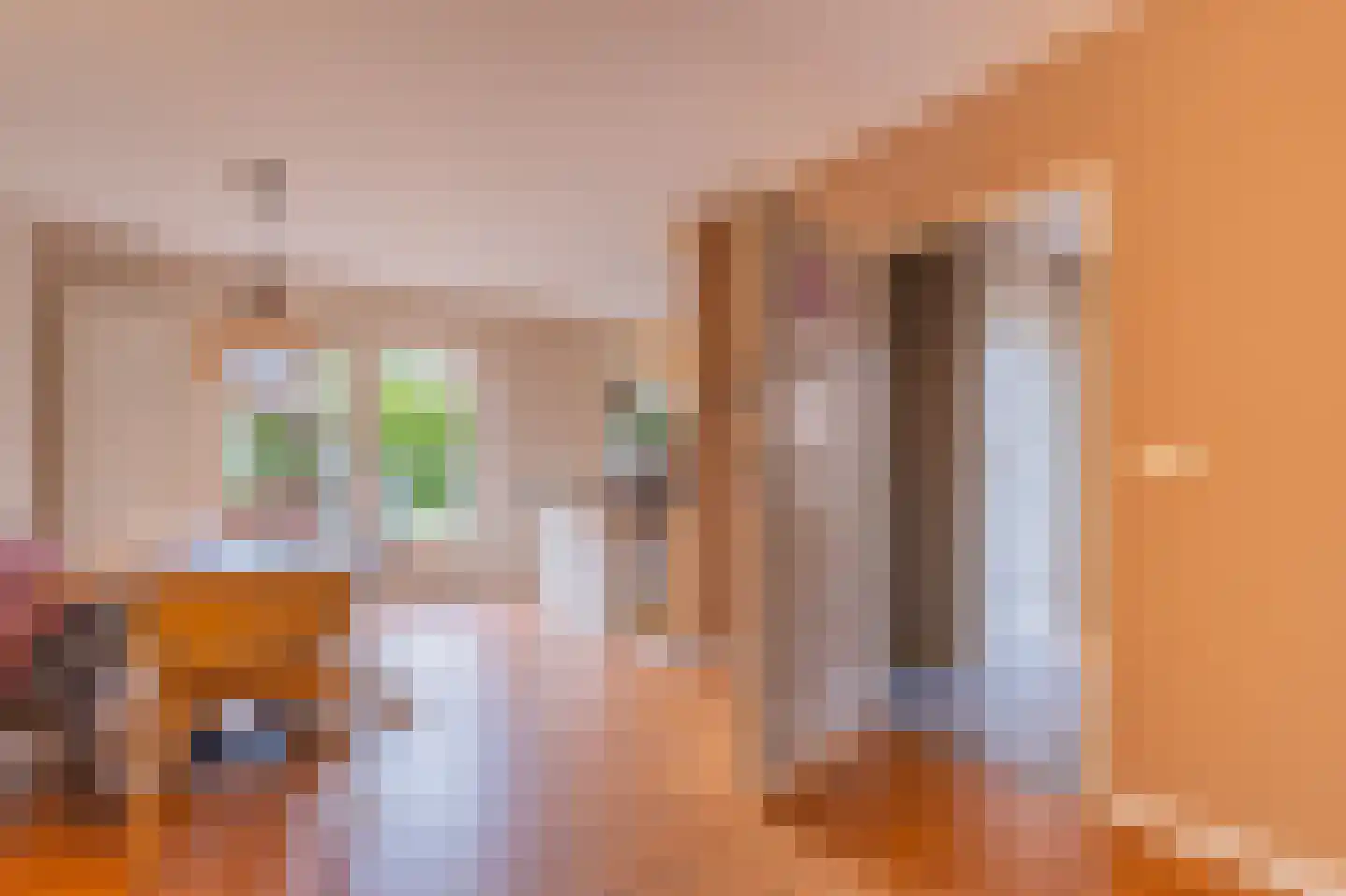 De Horst 19 Dalfsen thumbnail 9