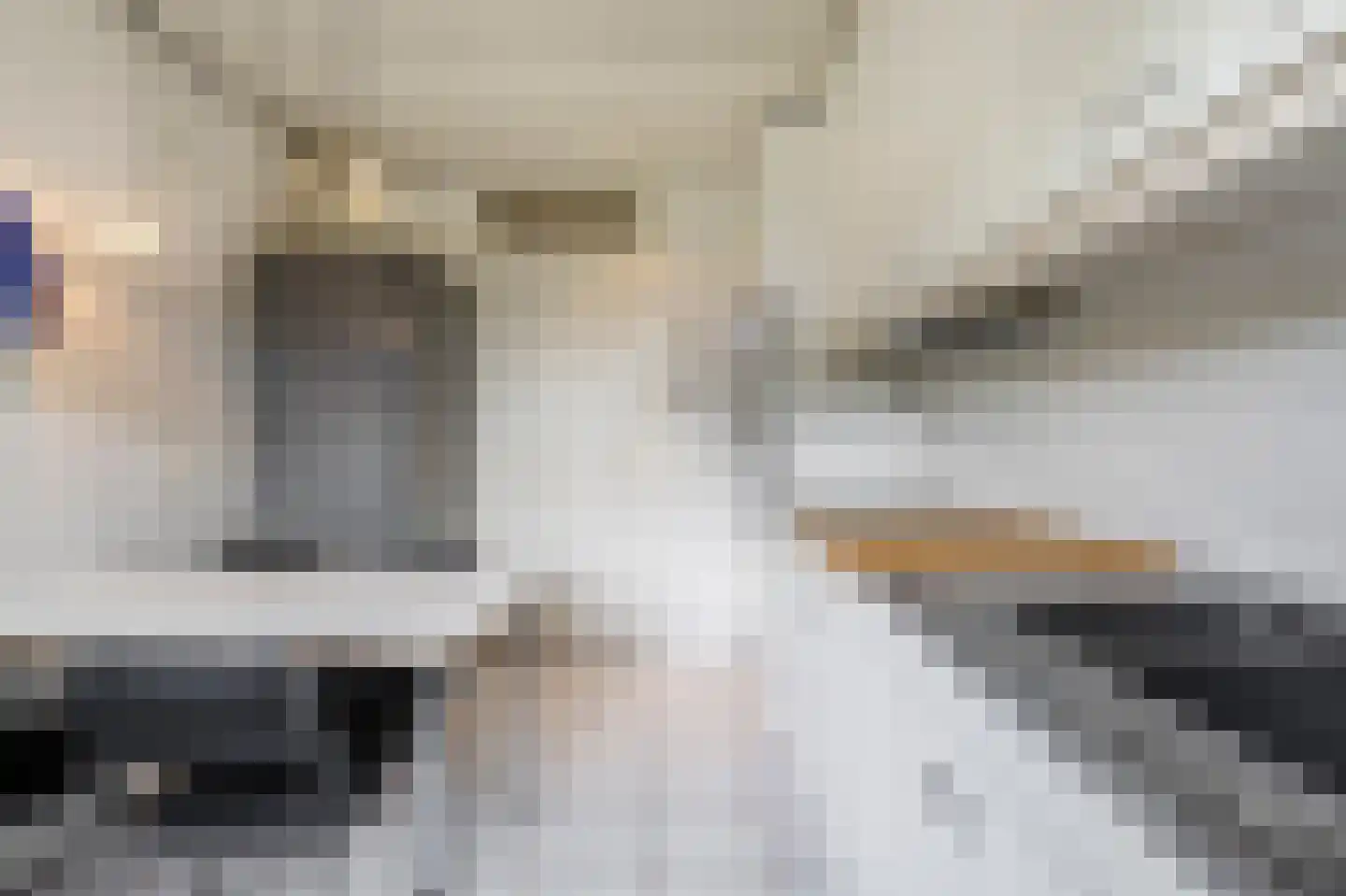 De Horst 28 Sliedrecht thumbnail 11