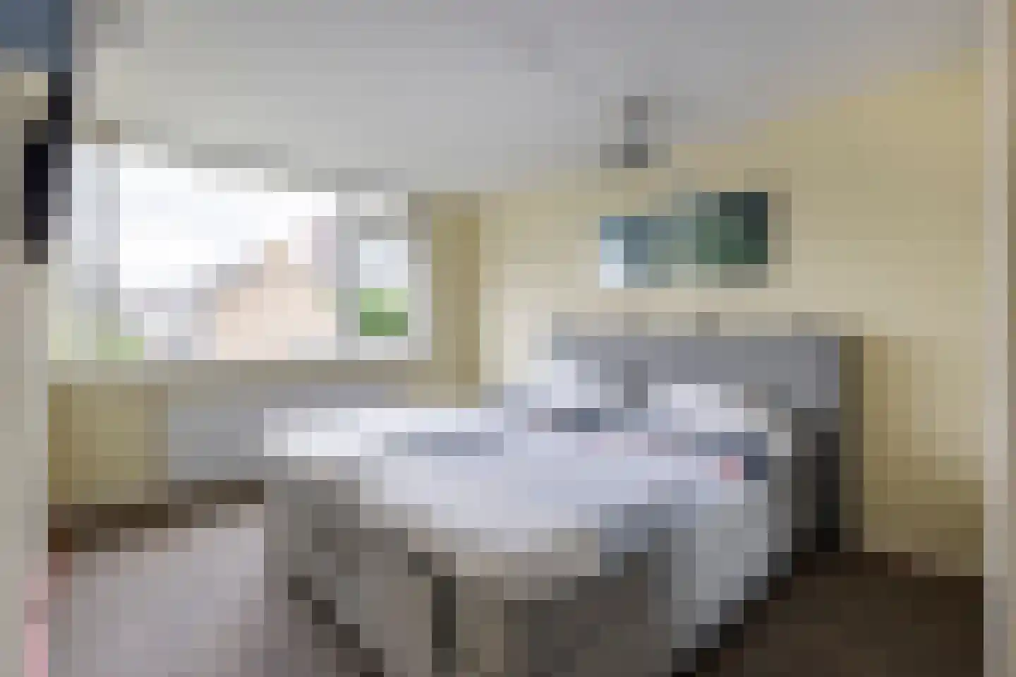 De Horst 28 Sliedrecht thumbnail 15