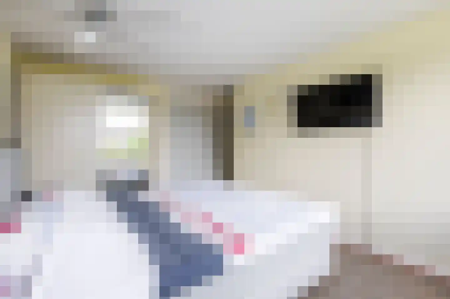 De Horst 28 Sliedrecht thumbnail 16