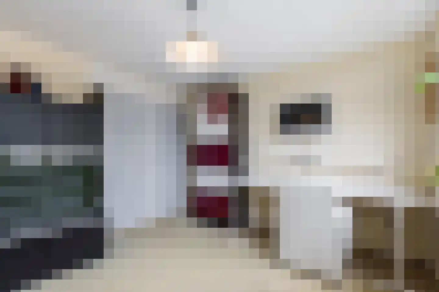 De Horst 28 Sliedrecht thumbnail 19