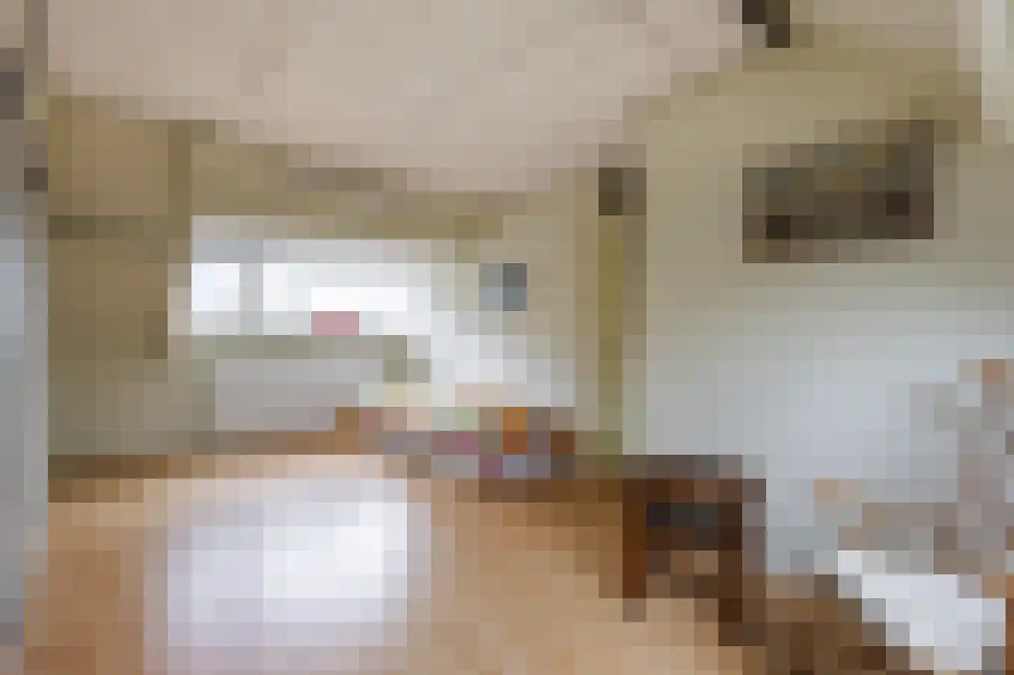 De Horst 28 Sliedrecht thumbnail 26