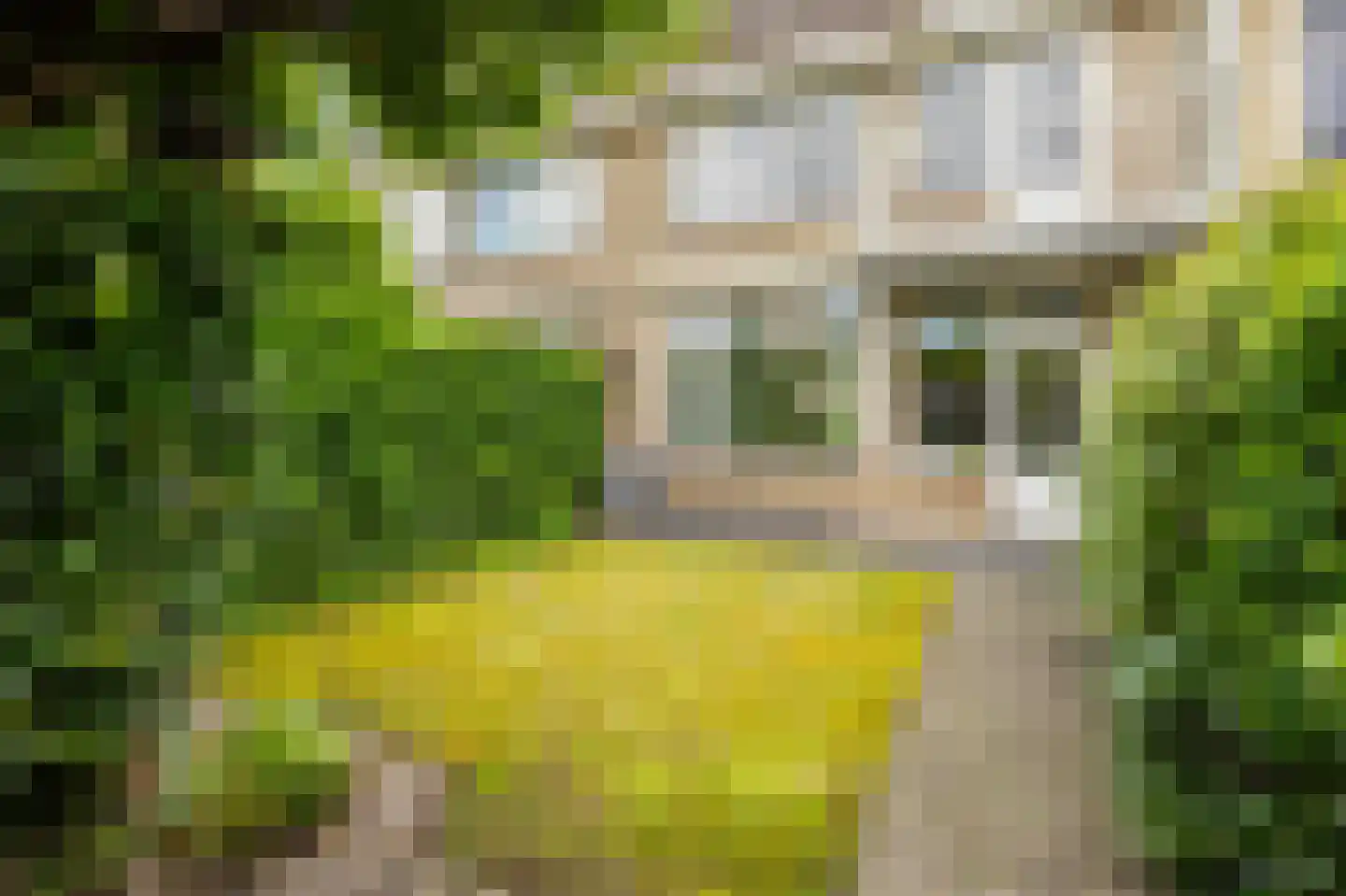 De Horst 28 Sliedrecht thumbnail 29