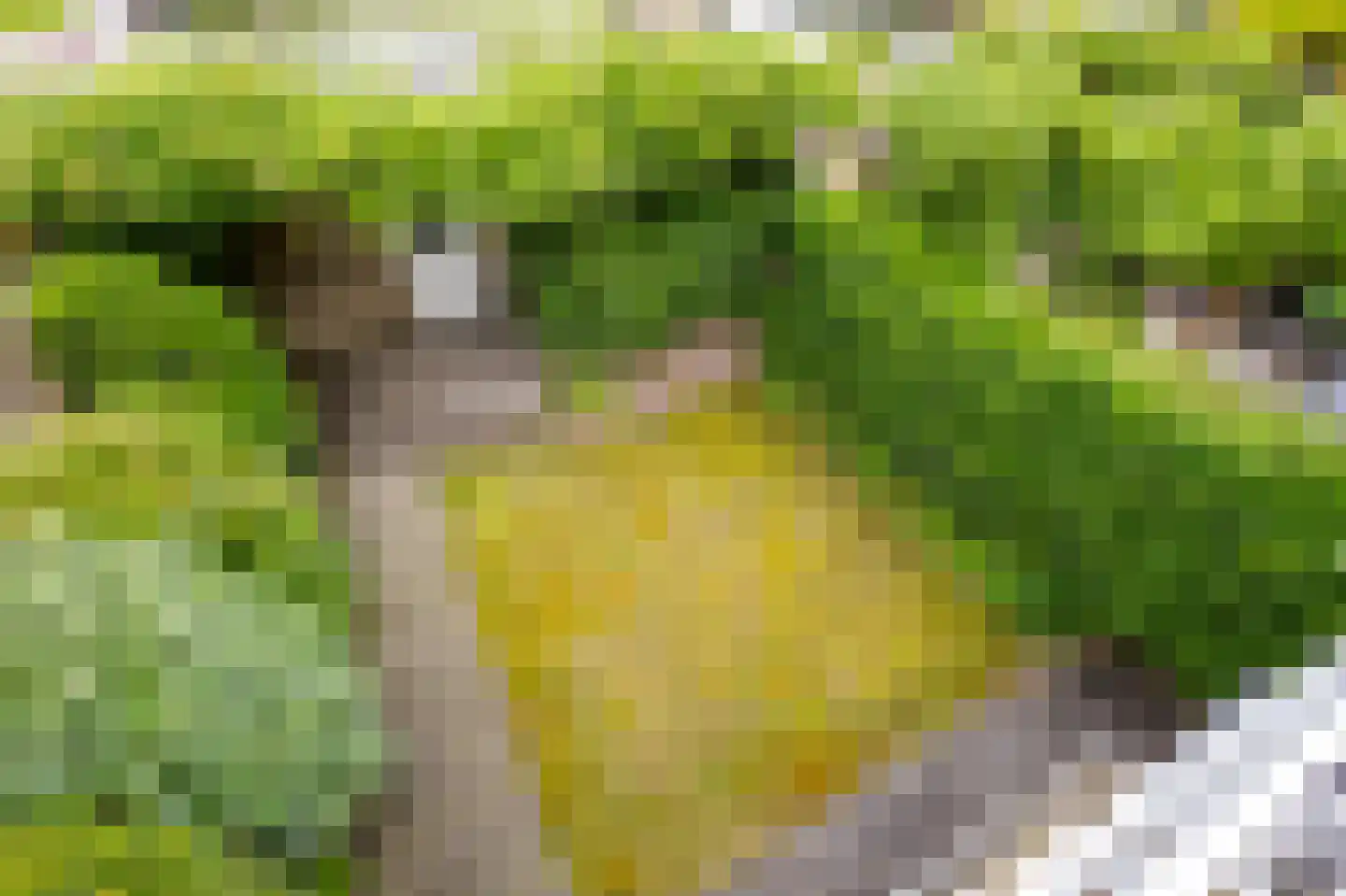 De Horst 28 Sliedrecht thumbnail 31